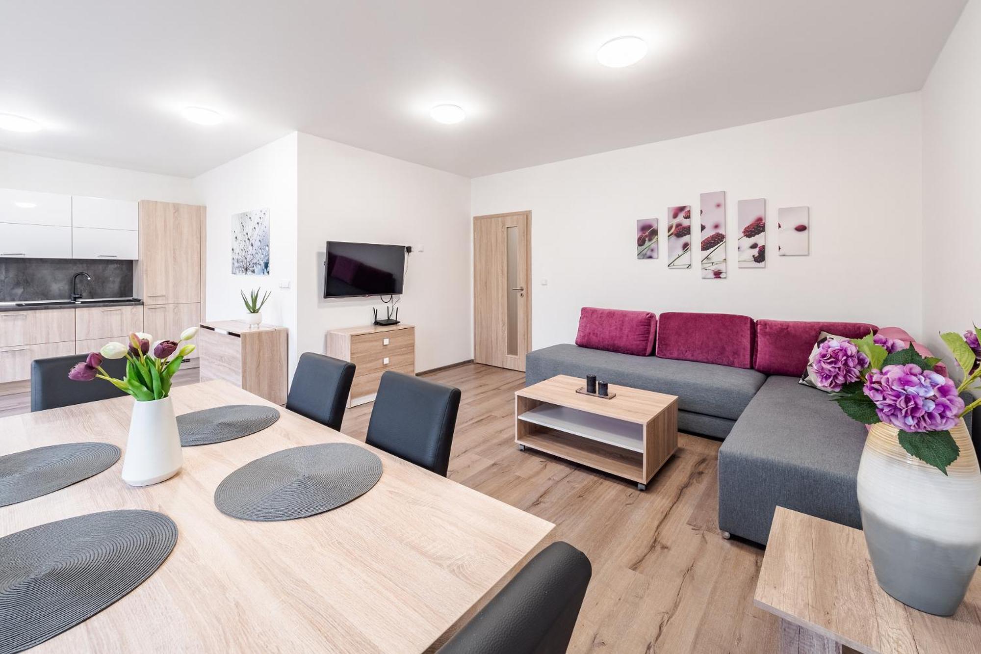 Private Luxury - G3 * Frymburk